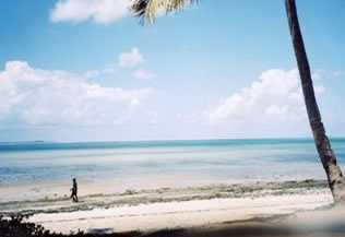 Mozambique beach